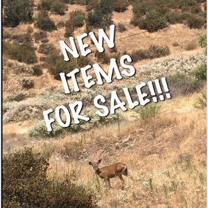 Startin to declutter after hiatus be on lookout